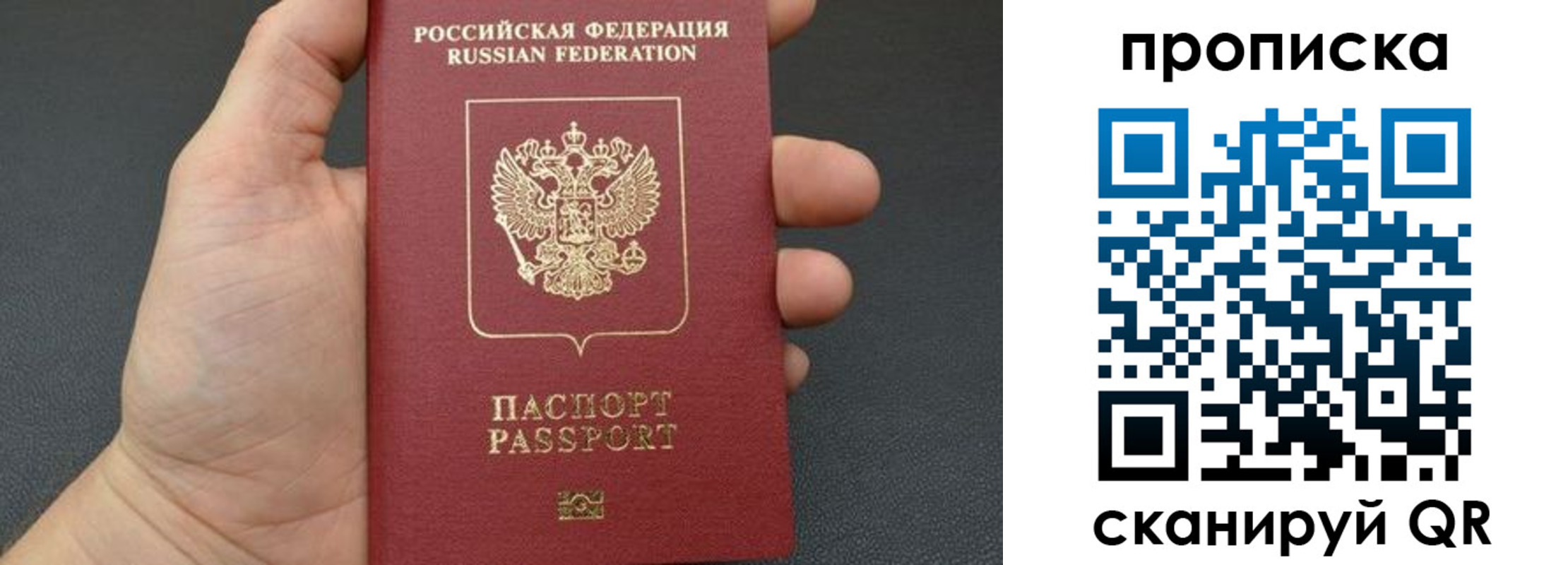 временная прописка в Зее